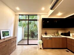 Holland Link (D10), Terrace #497124051